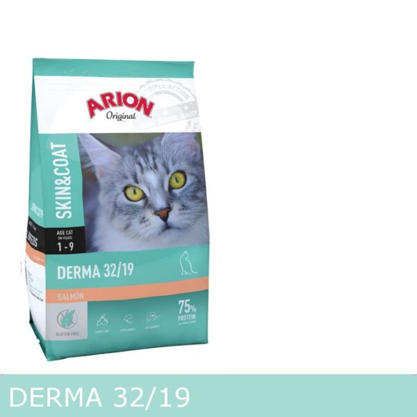 Arion Derma Cat