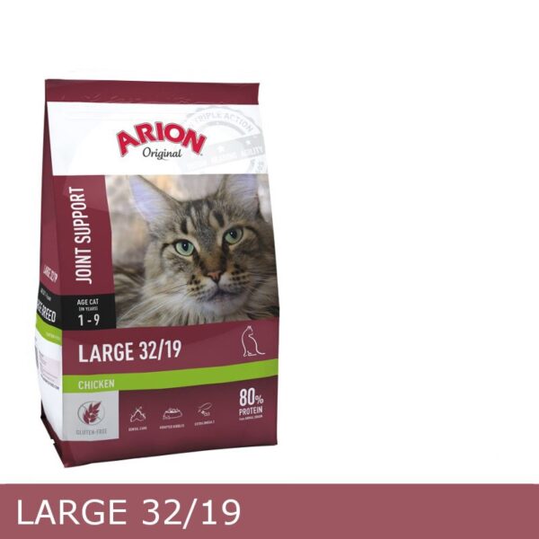 Arion Large Cat